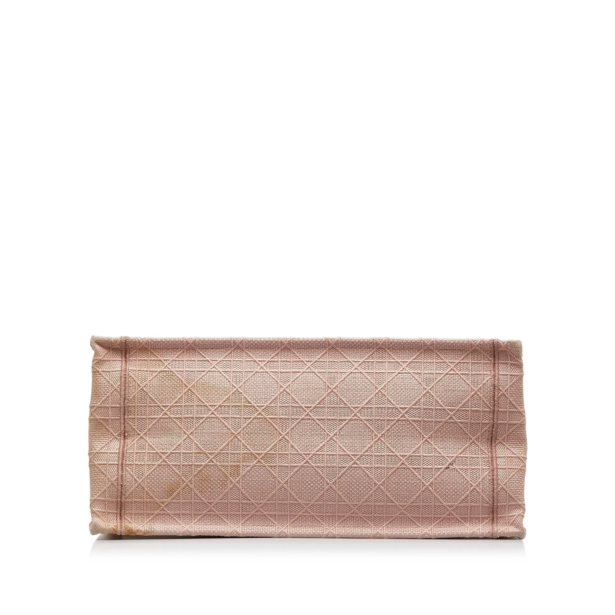 DIOR Medium Cannage Embroidered Book Tote Tote Bag