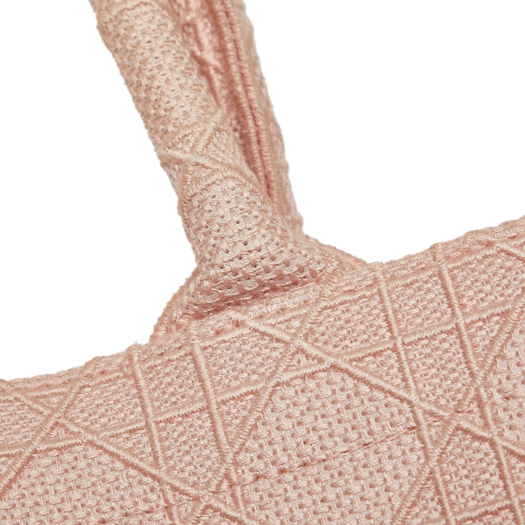 DIOR Medium Cannage Embroidered Book Tote Tote Bag