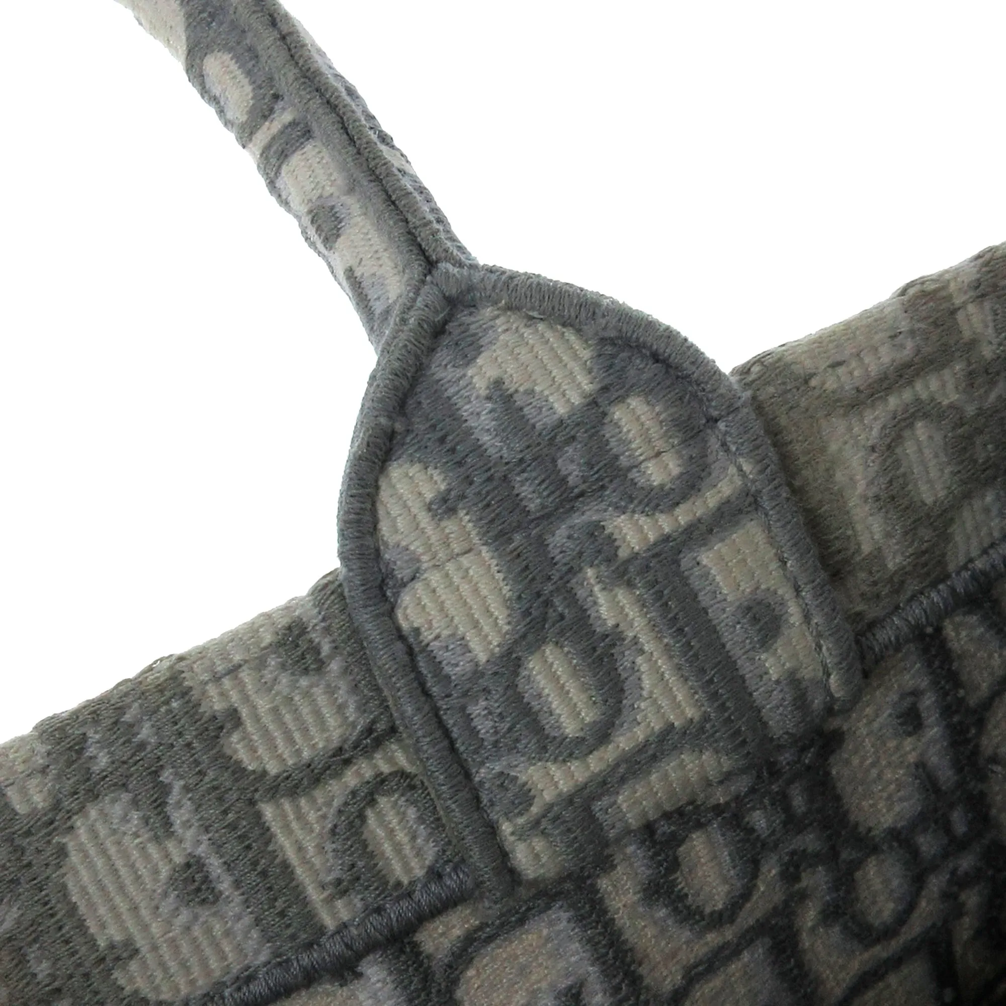 DIOR Medium Oblique Book Tote Tote Bag
