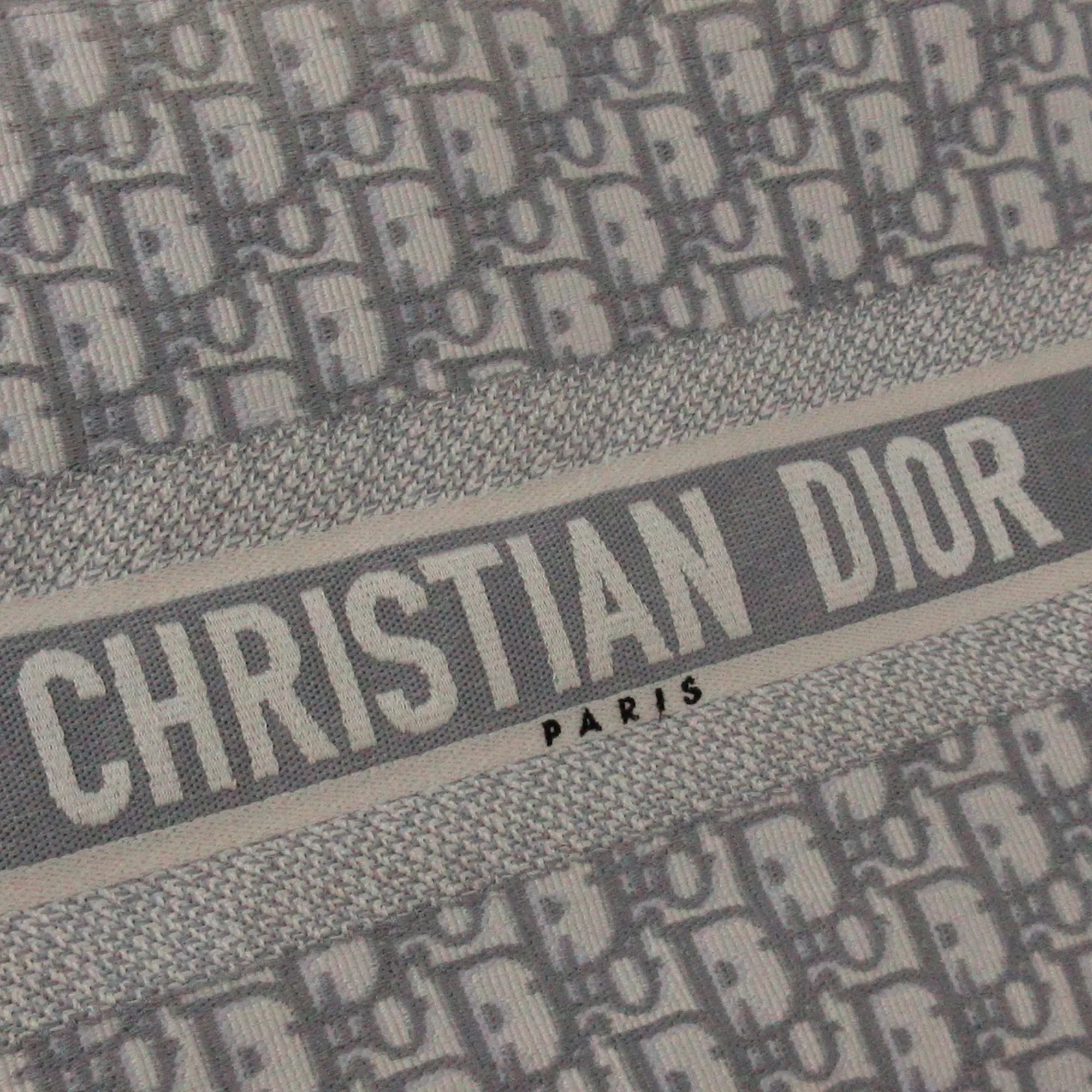 DIOR Medium Oblique Book Tote Tote Bag